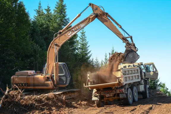 ديندي كازينو الدعم